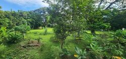 Seletar Garden (D28), Terrace #576268531